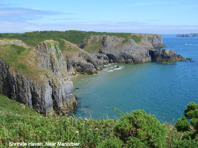 Shrinkle Haven